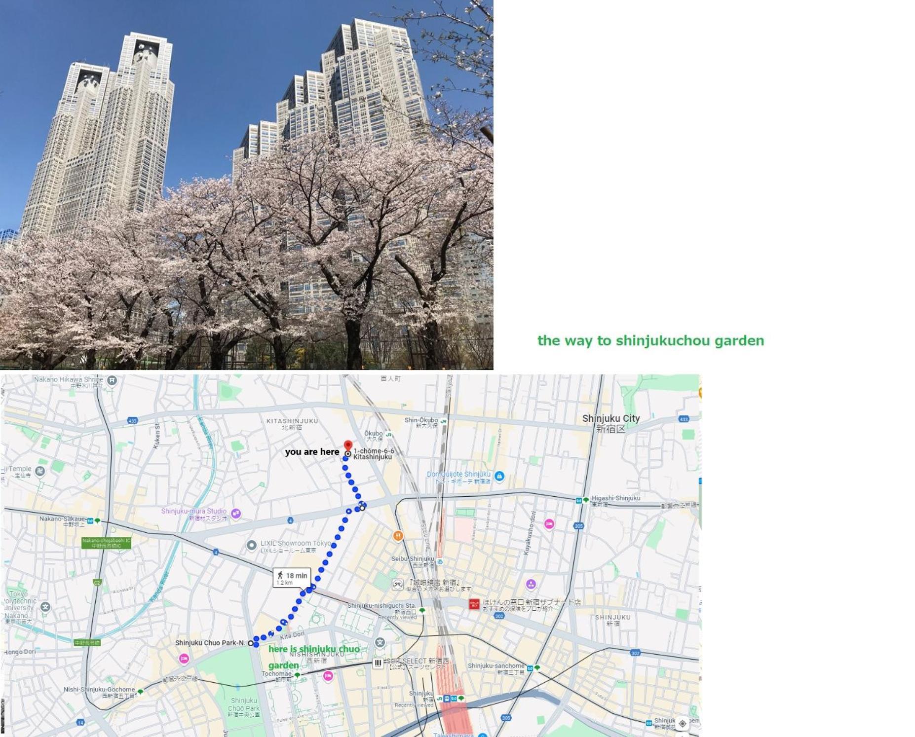 大久保駅から４分、貸切、韓国ダウン至近、新宿/歌舞伎町に徒歩圏内 、단독사용민박 Tokyo Luaran gambar